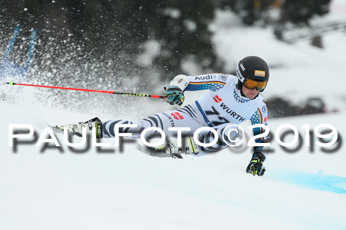 FIS + NJC Riesenslalom Damen + Herren 02.02.2019