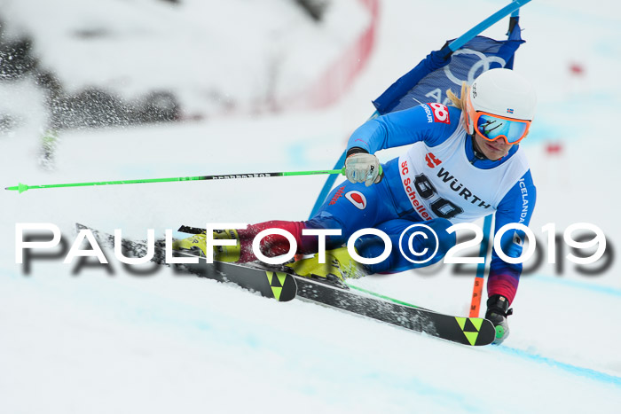 FIS + NJC Riesenslalom Damen + Herren 02.02.2019