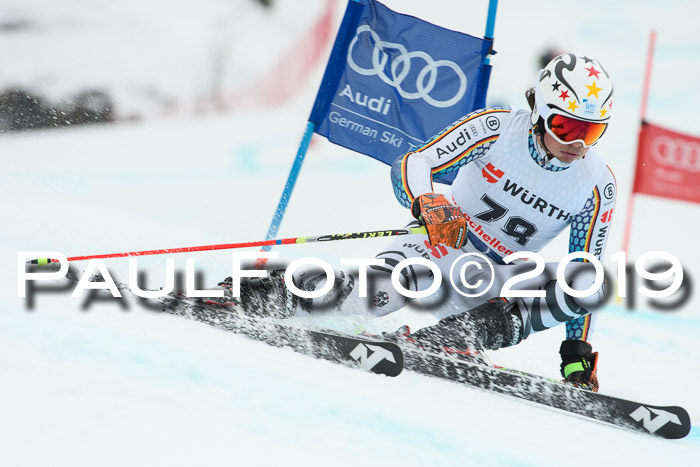 FIS + NJC Riesenslalom Damen + Herren 02.02.2019