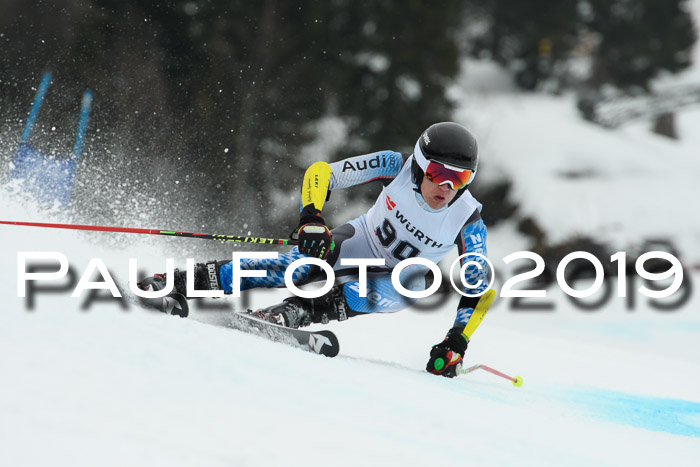 FIS + NJC Riesenslalom Damen + Herren 02.02.2019