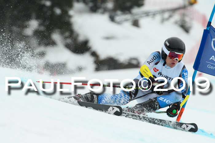 FIS + NJC Riesenslalom Damen + Herren 02.02.2019