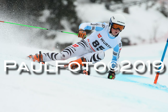 FIS + NJC Riesenslalom Damen + Herren 02.02.2019