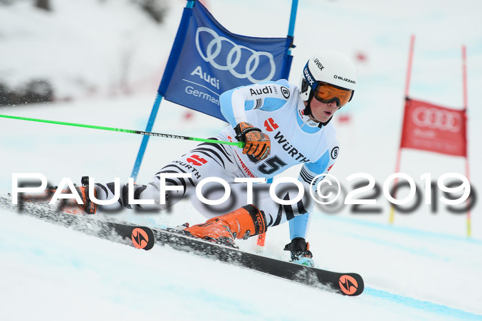 FIS + NJC Riesenslalom Damen + Herren 02.02.2019