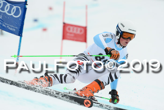 FIS + NJC Riesenslalom Damen + Herren 02.02.2019