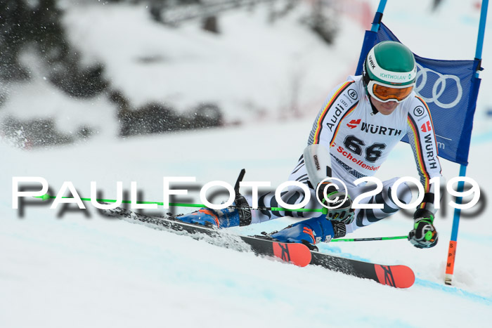 FIS + NJC Riesenslalom Damen + Herren 02.02.2019