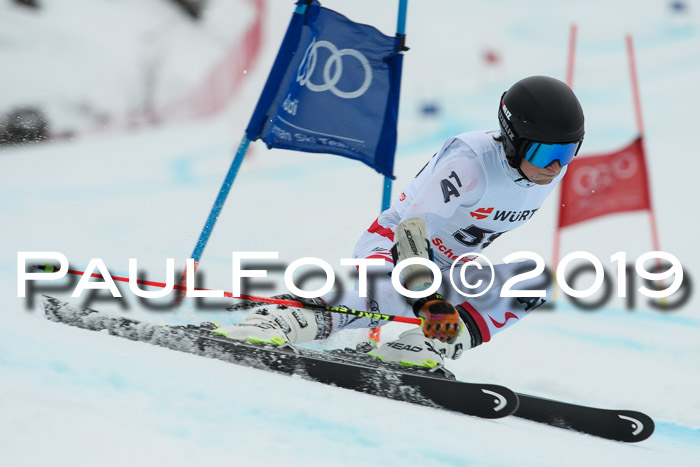 FIS + NJC Riesenslalom Damen + Herren 02.02.2019