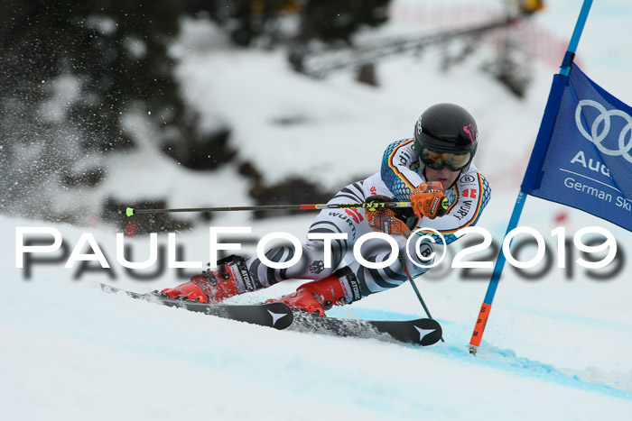 FIS + NJC Riesenslalom Damen + Herren 02.02.2019