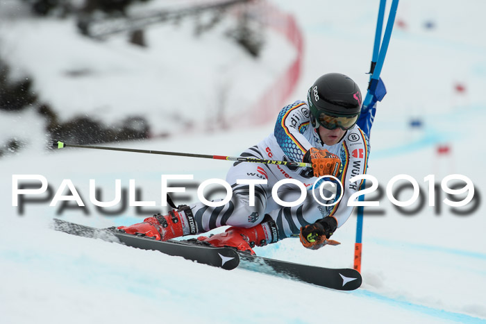 FIS + NJC Riesenslalom Damen + Herren 02.02.2019