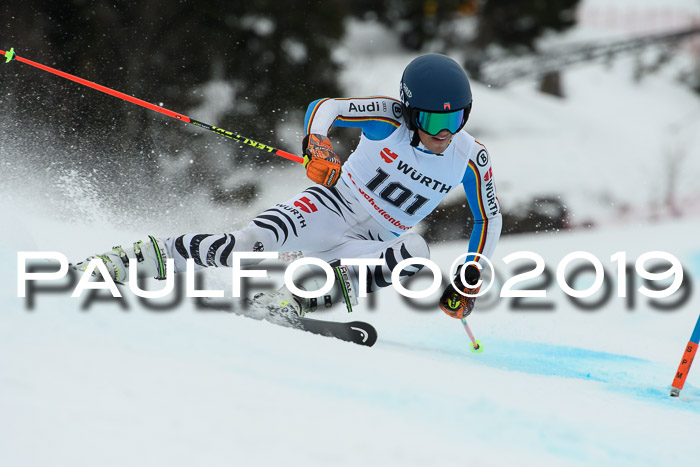 FIS + NJC Riesenslalom Damen + Herren 02.02.2019