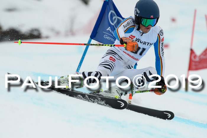 FIS + NJC Riesenslalom Damen + Herren 02.02.2019