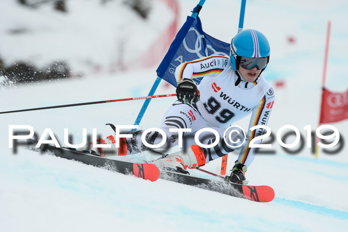 FIS + NJC Riesenslalom Damen + Herren 02.02.2019