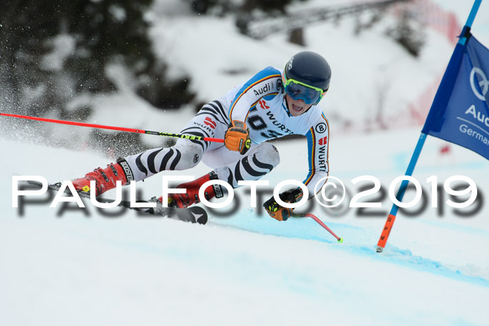 FIS + NJC Riesenslalom Damen + Herren 02.02.2019