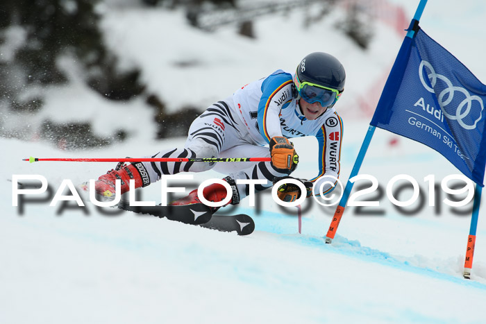 FIS + NJC Riesenslalom Damen + Herren 02.02.2019