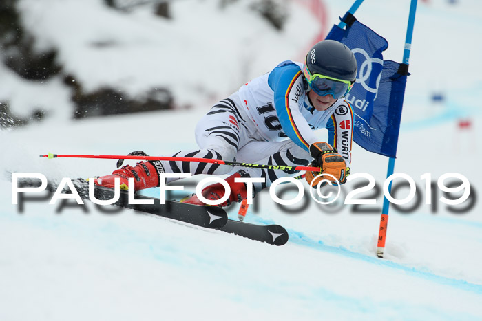 FIS + NJC Riesenslalom Damen + Herren 02.02.2019