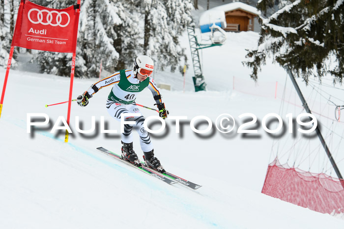 NJC + FIS, Super-G, Herren, 06.02.2019