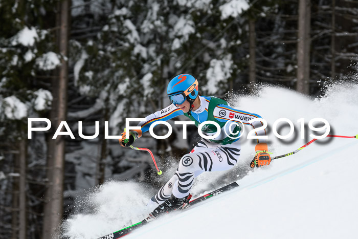 NJC + FIS, Super-G, Herren, 06.02.2019