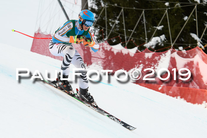 NJC + FIS, Super-G, Herren, 06.02.2019