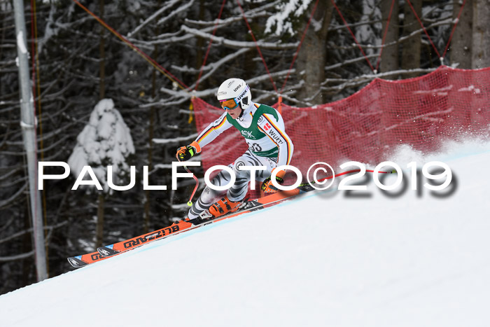 NJC + FIS, Super-G, Herren, 06.02.2019