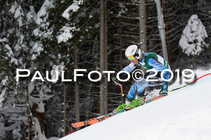 NJC + FIS, Super-G, Herren, 06.02.2019