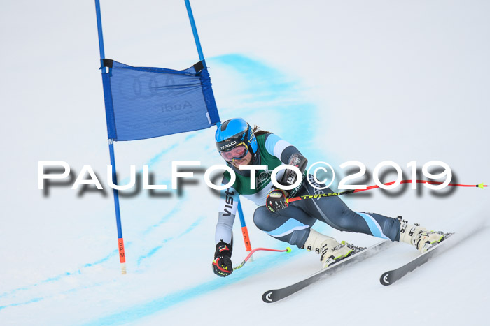 NJC + FIS, Super-G, Herren, 06.02.2019