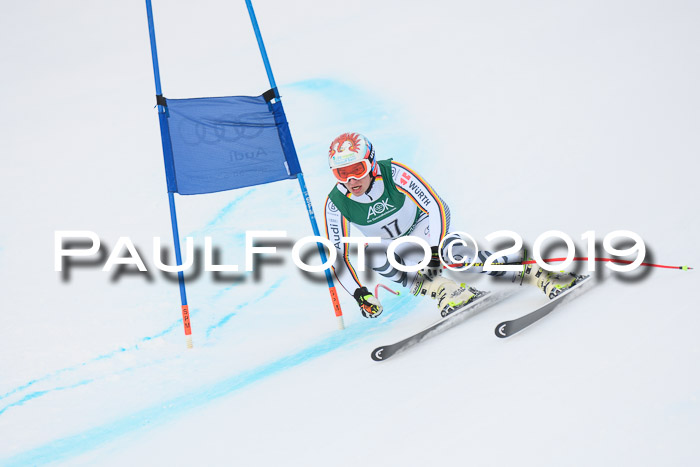 NJC + FIS, Super-G, Herren, 06.02.2019