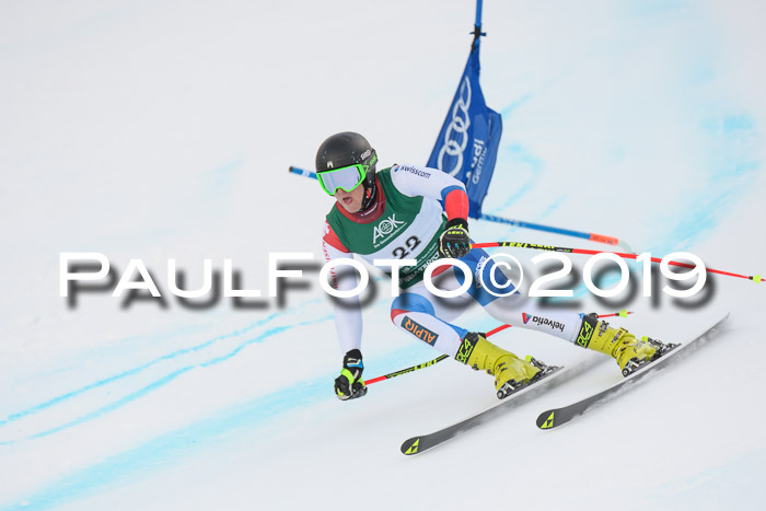 NJC + FIS, Super-G, Herren, 06.02.2019