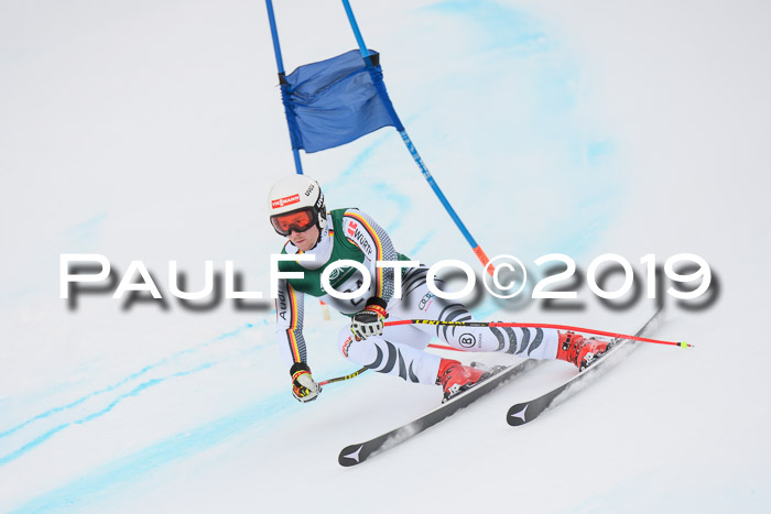 NJC + FIS, Super-G, Herren, 06.02.2019