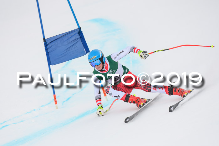 NJC + FIS, Super-G, Herren, 06.02.2019