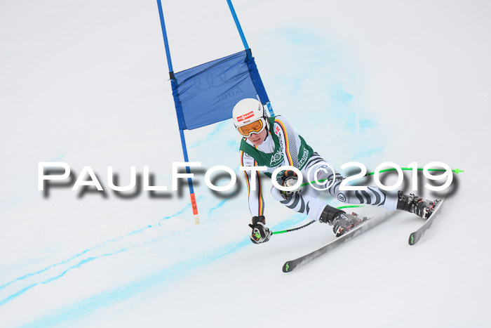 NJC + FIS, Super-G, Herren, 06.02.2019