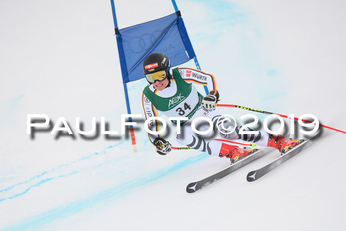 NJC + FIS, Super-G, Herren, 06.02.2019