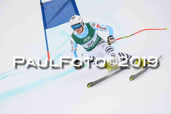 NJC + FIS, Super-G, Herren, 06.02.2019