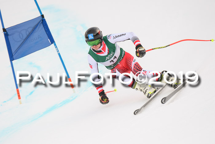 NJC + FIS, Super-G, Herren, 06.02.2019