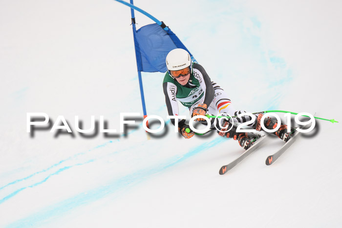 NJC + FIS, Super-G, Herren, 06.02.2019