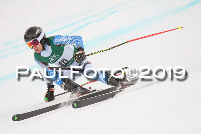 NJC + FIS, Super-G, Herren, 06.02.2019