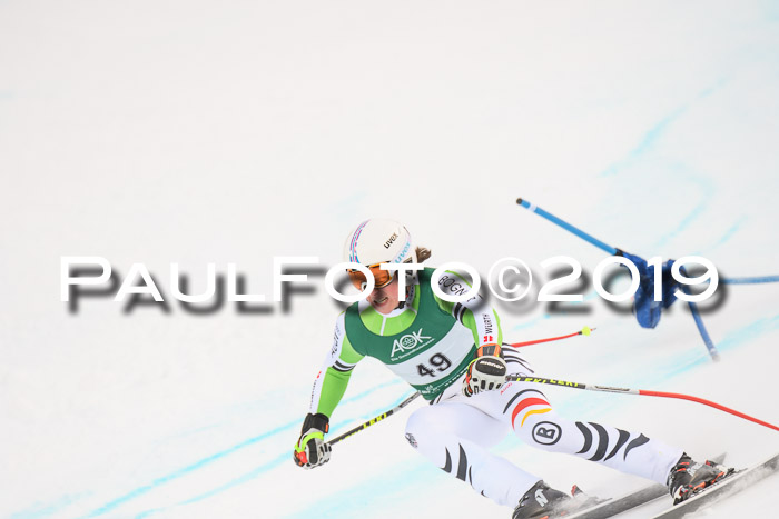 NJC + FIS, Super-G, Herren, 06.02.2019