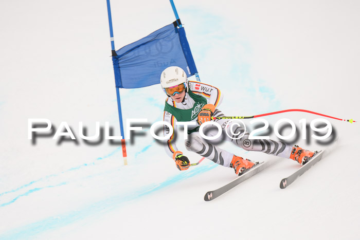 NJC + FIS, Super-G, Herren, 06.02.2019