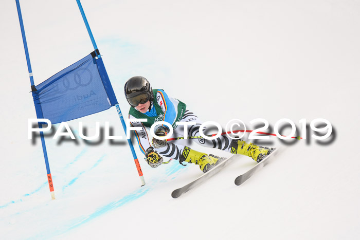 NJC + FIS, Super-G, Herren, 06.02.2019