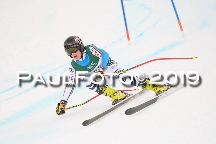 NJC + FIS, Super-G, Herren, 06.02.2019