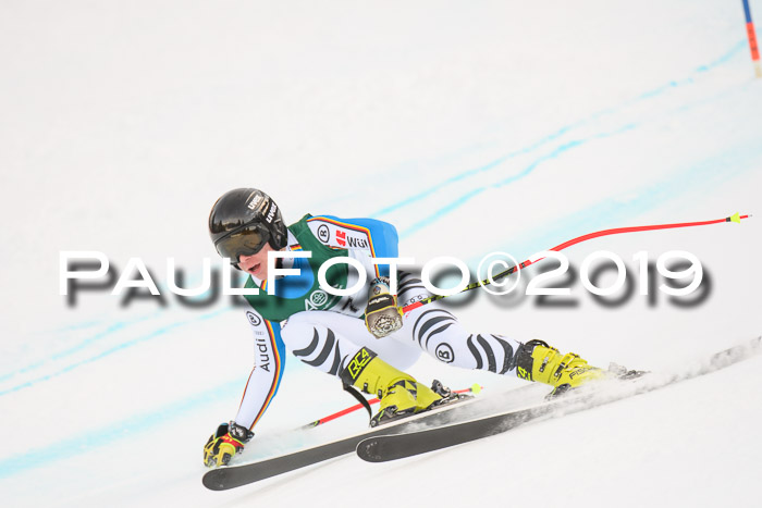 NJC + FIS, Super-G, Herren, 06.02.2019