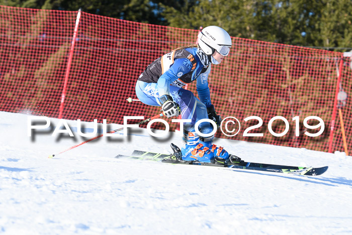 Ziener Kids-Cross M/OL U12 Race Cross III + II