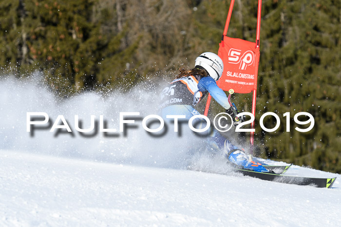 Ziener Kids-Cross M/OL U12 Race Cross III + II