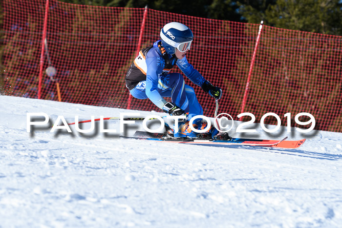 Ziener Kids-Cross M/OL U12 Race Cross III + II