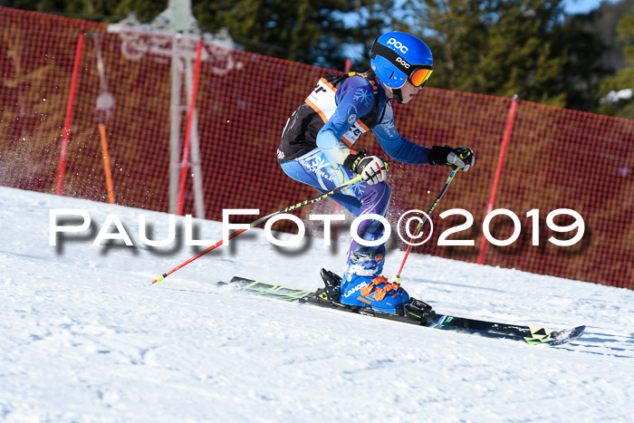 Ziener Kids-Cross M/OL U12 Race Cross III + II