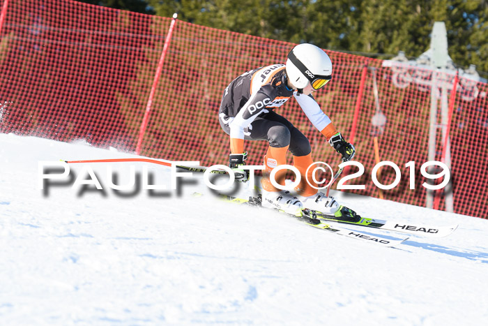 Ziener Kids-Cross M/OL U12 Race Cross III + II