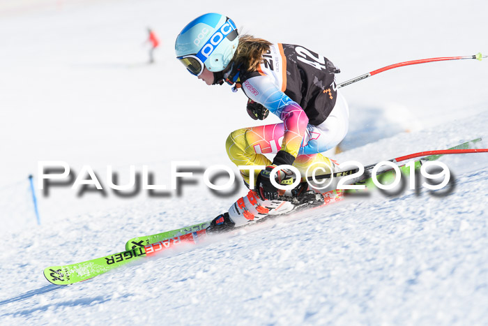 Ziener Kids-Cross M/OL U12 Race Cross III + II