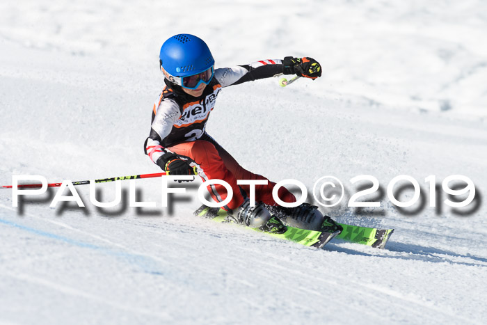 Ziener Cup WF, RS, 24.02.2019