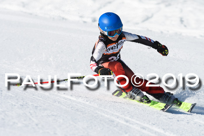 Ziener Cup WF, RS, 24.02.2019