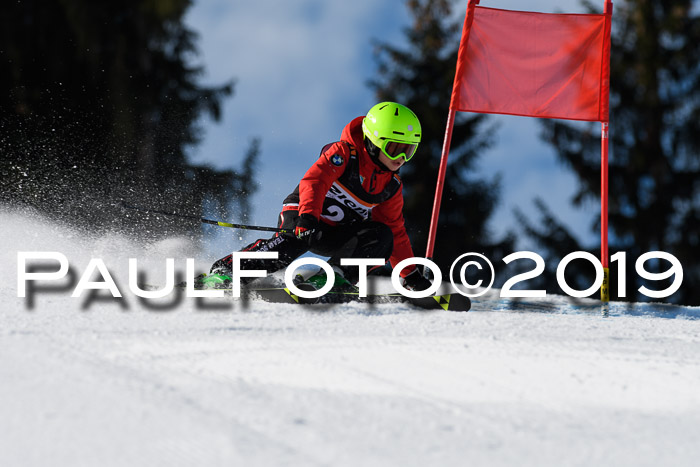 Ziener Cup WF, RS, 24.02.2019