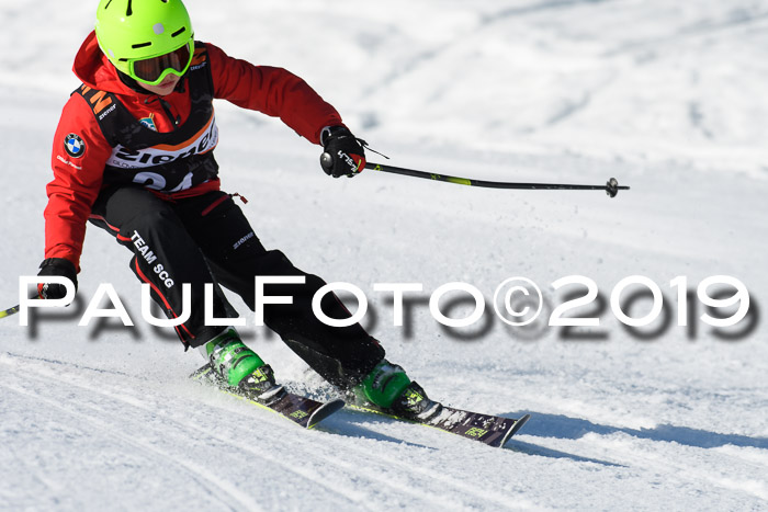 Ziener Cup WF, RS, 24.02.2019