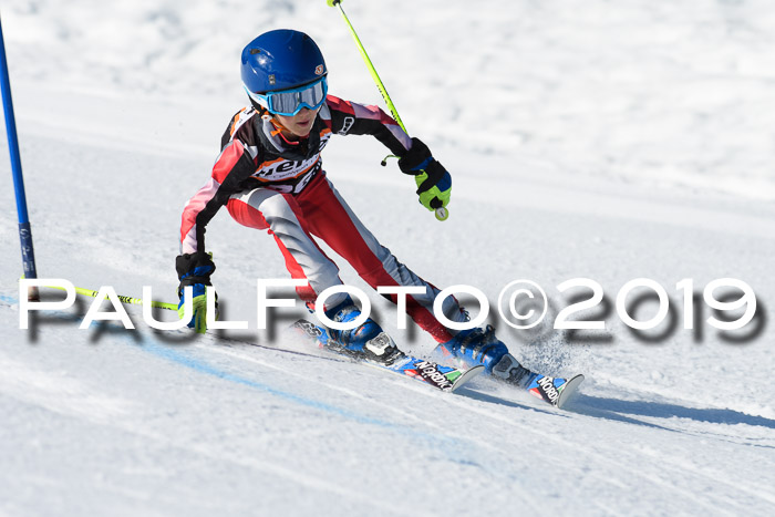 Ziener Cup WF, RS, 24.02.2019